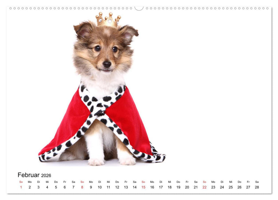 Funny Dogs (CALVENDO Wandkalender 2026)
