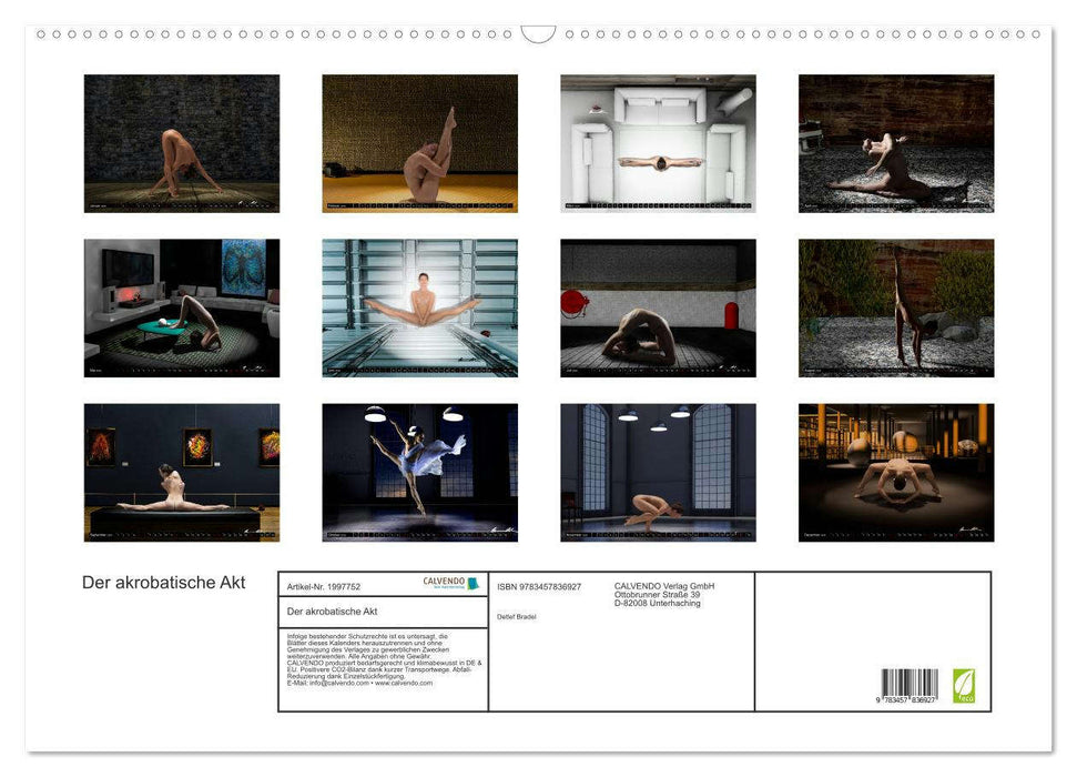 Der akrobatische Akt (CALVENDO Wandkalender 2026)