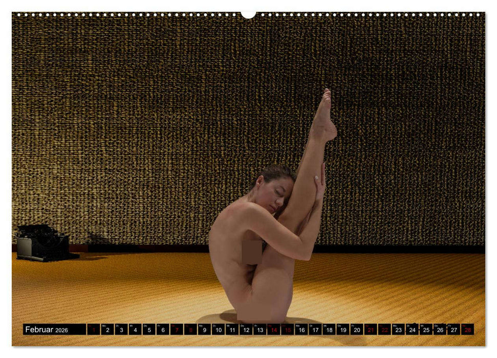 Der akrobatische Akt (CALVENDO Wandkalender 2026)