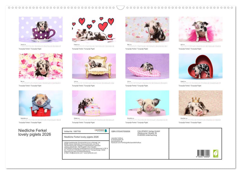 Niedliche Ferkel lovely piglets 2026 (CALVENDO Wandkalender 2026)