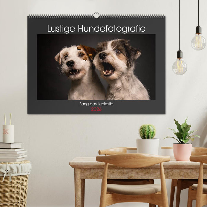 Fang das Leckerlie (CALVENDO Wandkalender 2026)