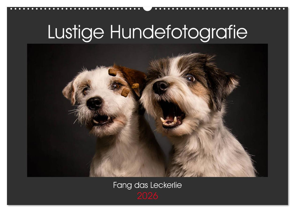 Fang das Leckerlie (CALVENDO Wandkalender 2026)