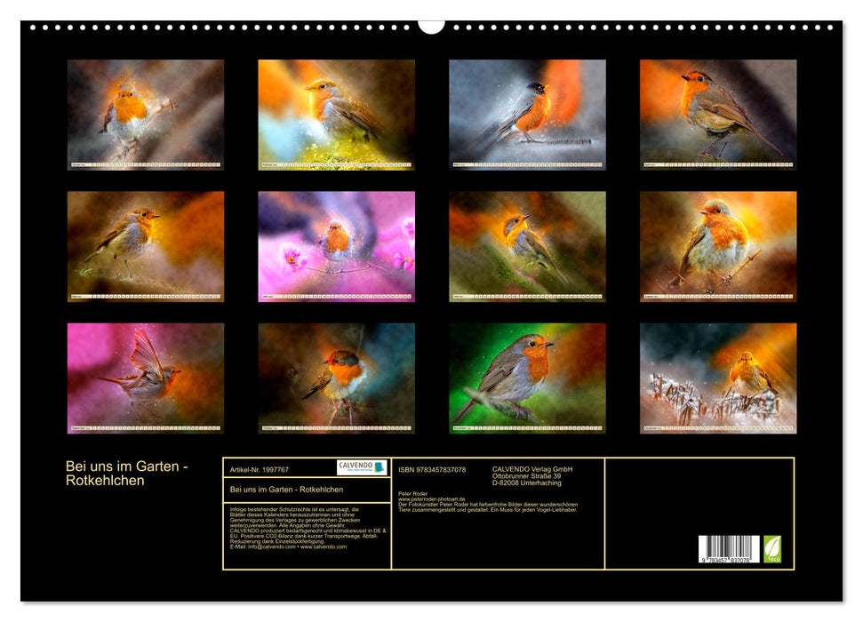 Bei uns im Garten - Rotkehlchen (CALVENDO Wandkalender 2026)