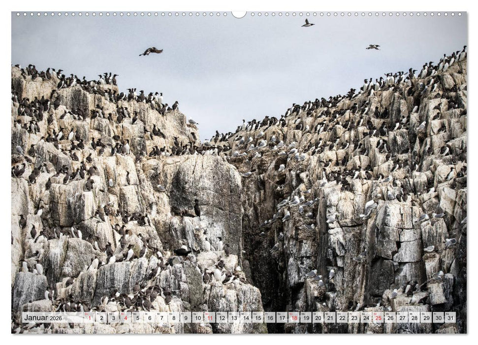 NORTHUMBERLAND 2026 (CALVENDO Wandkalender 2026)