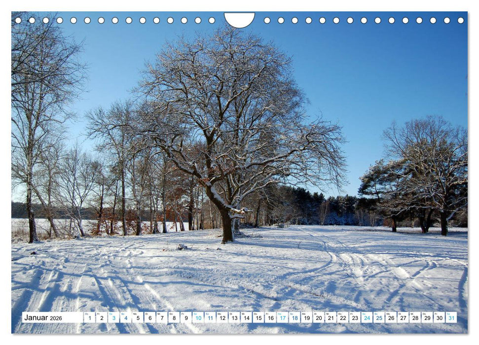 Rathenow - Grüne Stadt an der Havel (CALVENDO Wandkalender 2026)