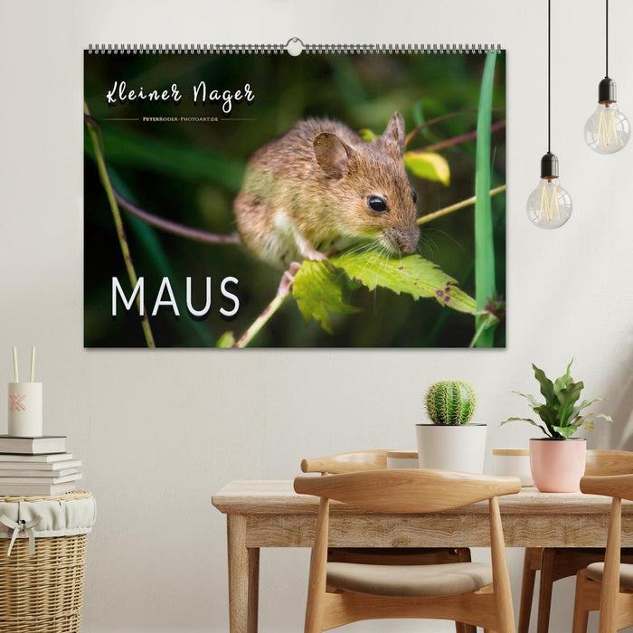 Kleiner Nager - Maus (CALVENDO Wandkalender 2026)
