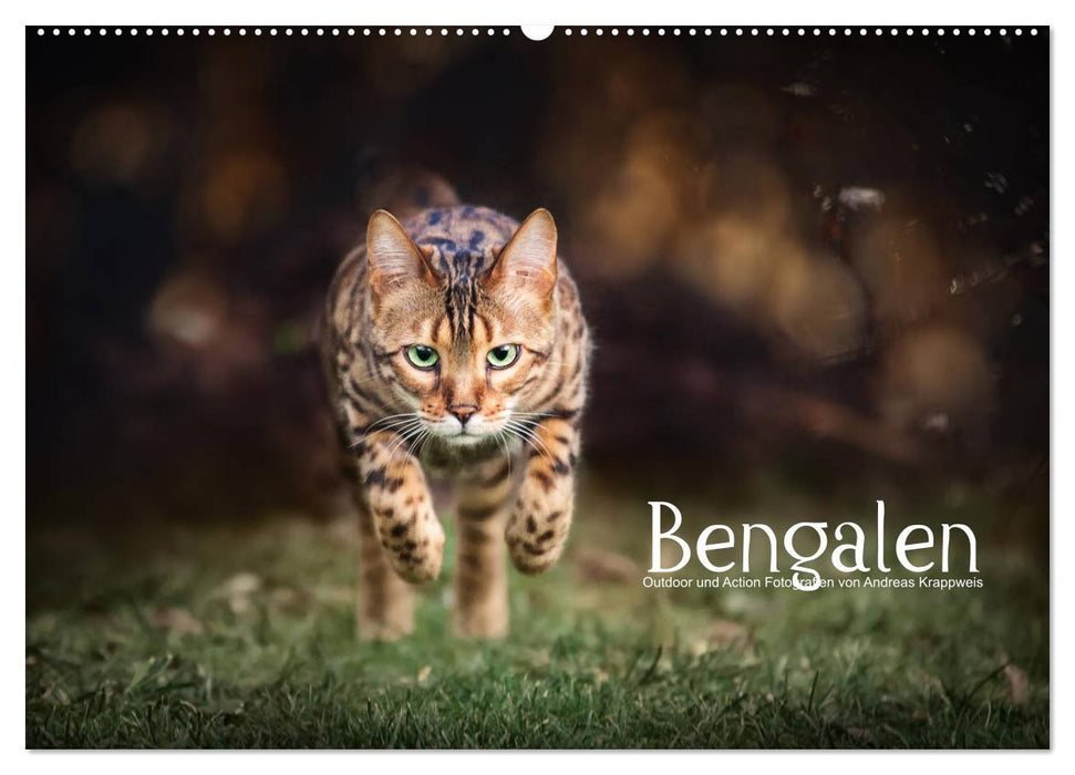 Bengalen Outdoor und Action (CALVENDO Wandkalender 2026)