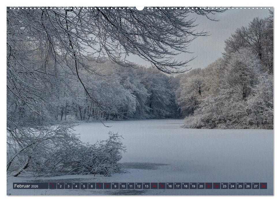 Das Steinfurter Bagno im Wandel der Jahreszeiten (CALVENDO Wandkalender 2026)