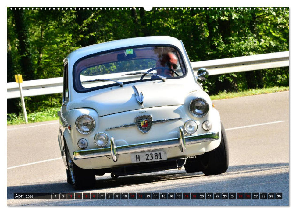 Rennsemmeln (CALVENDO Wandkalender 2026)