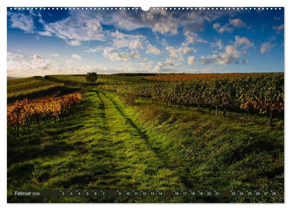 Wein - Landschaften (CALVENDO Premium Wandkalender 2026)