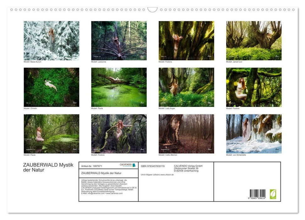 ZAUBERWALD Mystik der Natur (CALVENDO Wandkalender 2026)