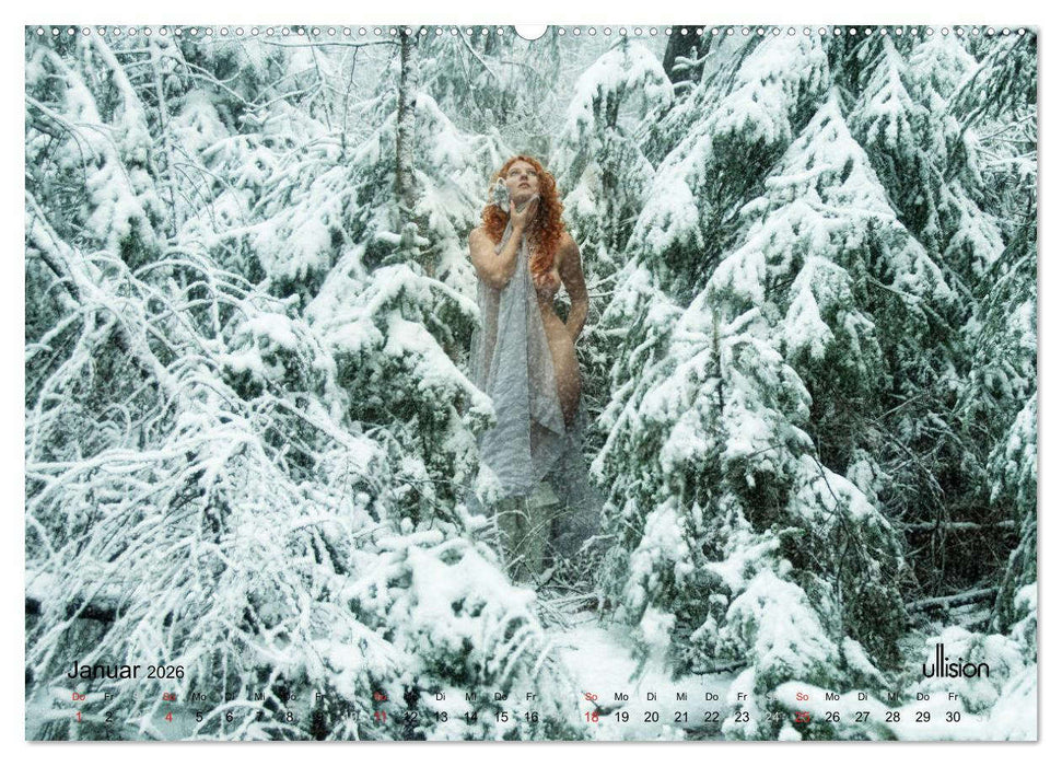 ZAUBERWALD Mystik der Natur (CALVENDO Wandkalender 2026)