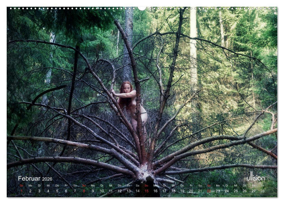 ZAUBERWALD Mystik der Natur (CALVENDO Wandkalender 2026)