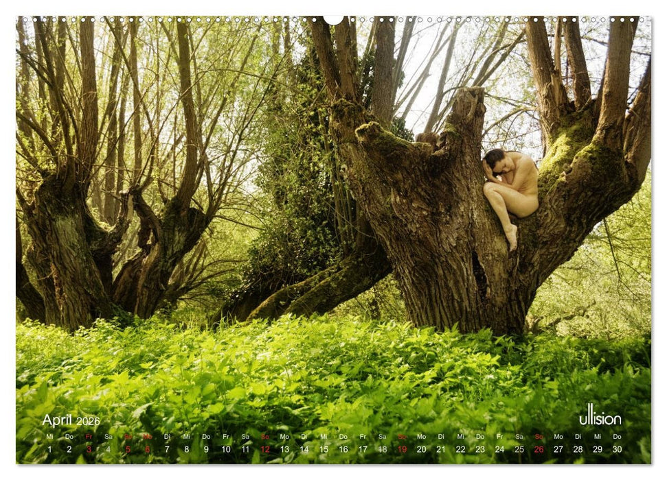 ZAUBERWALD Mystik der Natur (CALVENDO Wandkalender 2026)