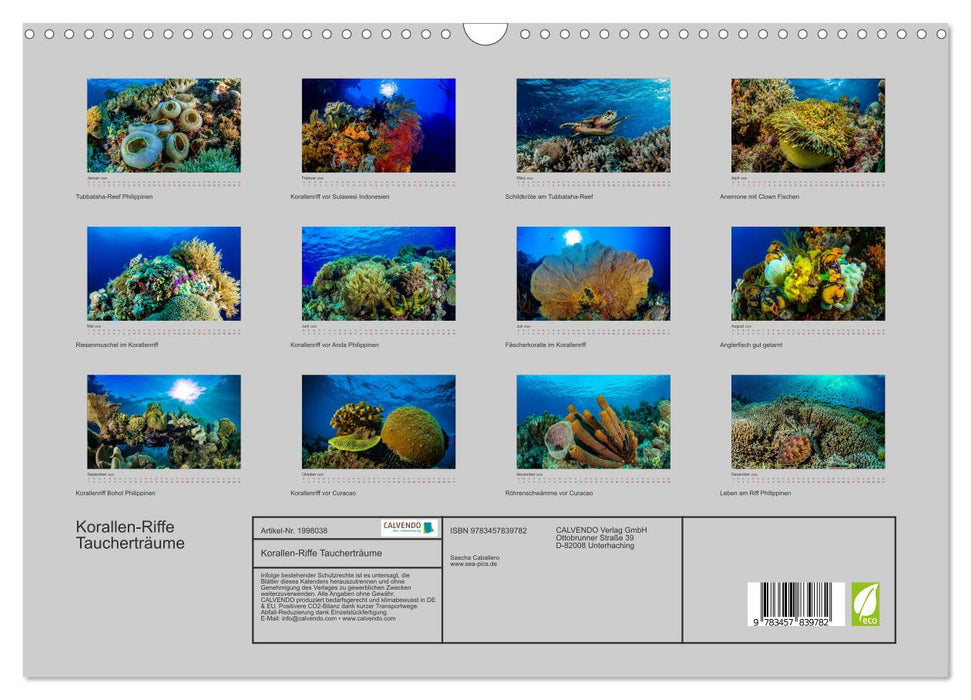 Korallen-Riffe Taucherträume (CALVENDO Wandkalender 2026)
