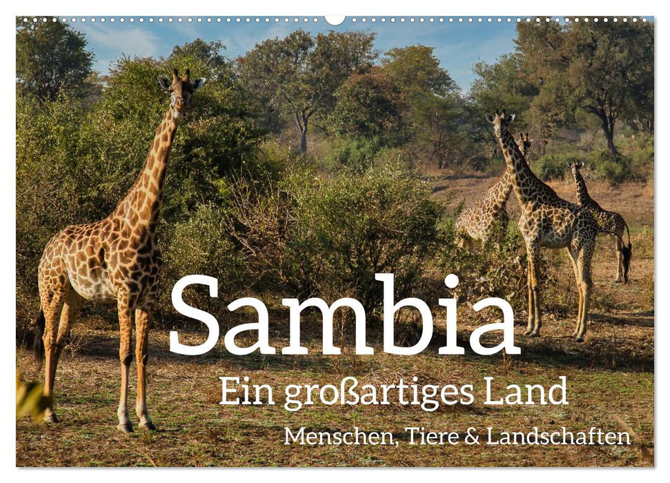 Sambia - ein großartiges Land (CALVENDO Wandkalender 2026)
