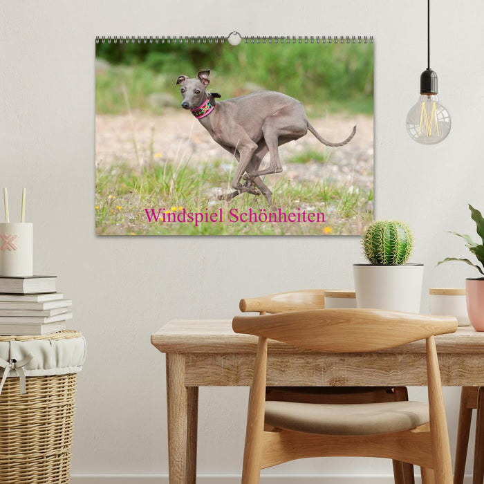 Windspiel Schönheiten (CALVENDO Wandkalender 2026)