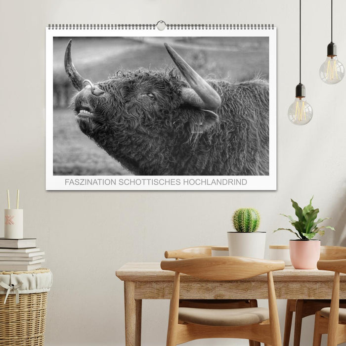 Faszination Schottisches Hochlandrind (CALVENDO Wandkalender 2026)