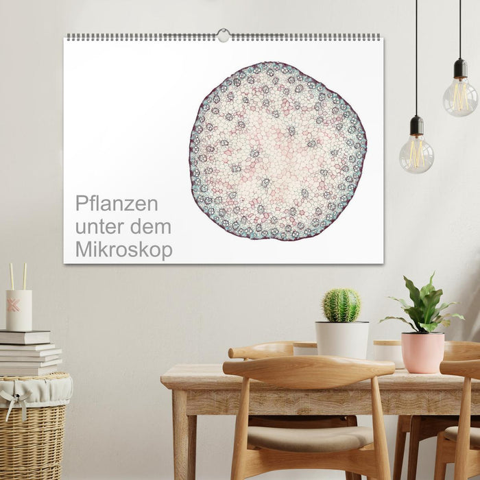 Pflanzen unter dem Mikroskop (CALVENDO Wandkalender 2026)