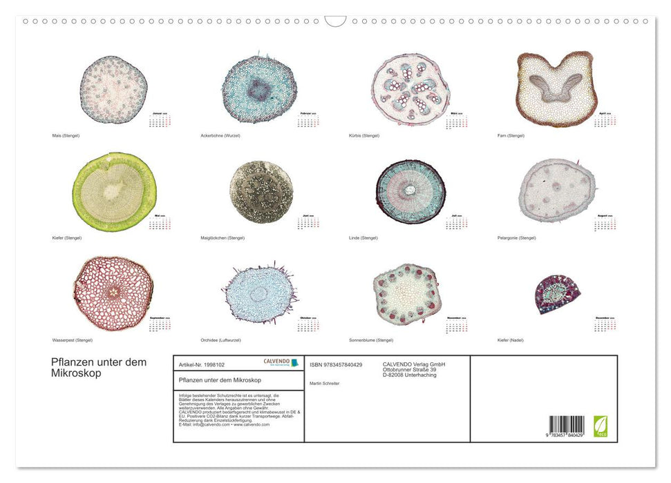 Pflanzen unter dem Mikroskop (CALVENDO Wandkalender 2026)