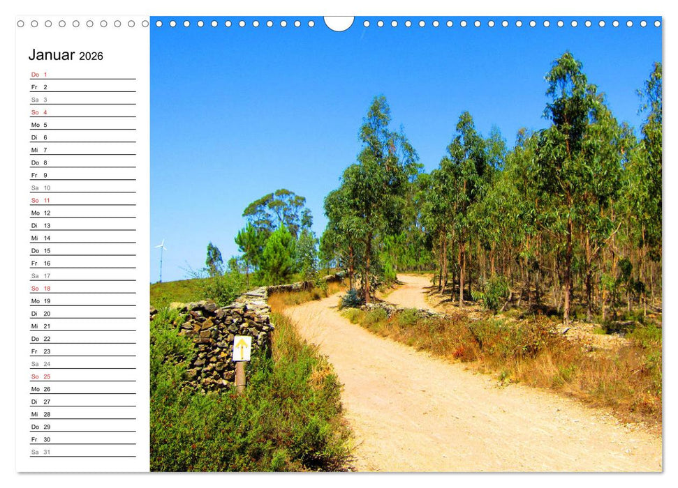 Jakobsweg - Camino Portugues Central (CALVENDO Wandkalender 2026)