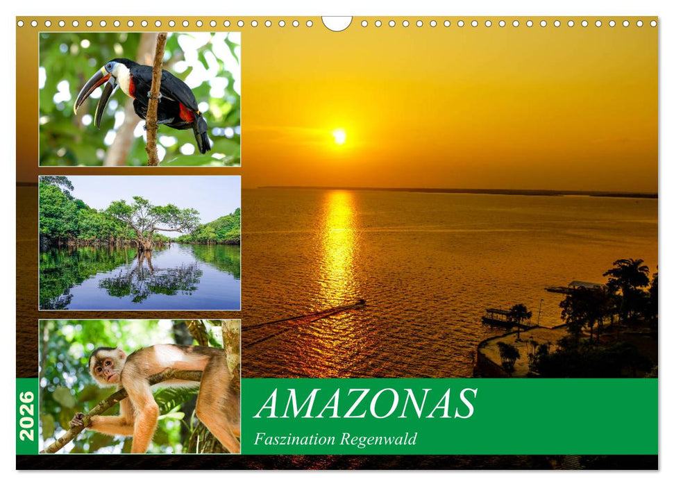 Amazonas - Faszination Regenwald (CALVENDO Wandkalender 2026)