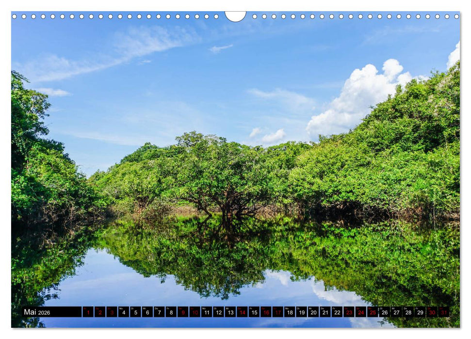 Amazonas - Faszination Regenwald (CALVENDO Wandkalender 2026)