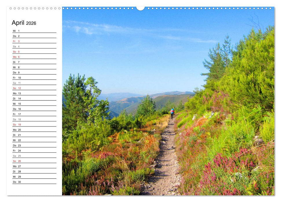 Jakobsweg - Camino Primitivo (CALVENDO Wandkalender 2026)