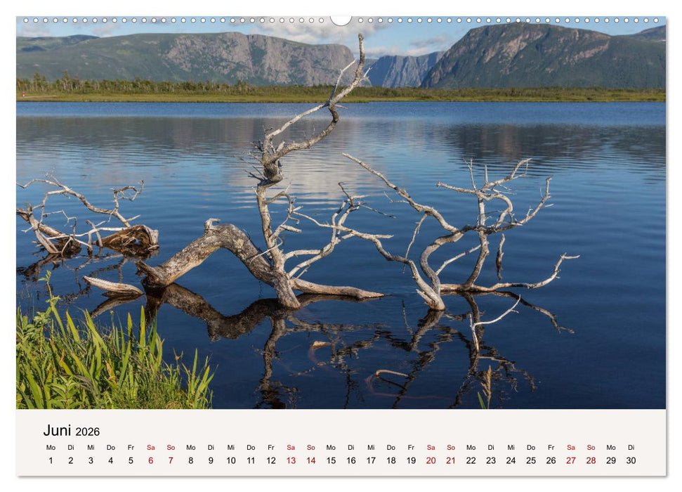Neufundland Impressionen 2026 (CALVENDO Wandkalender 2026)