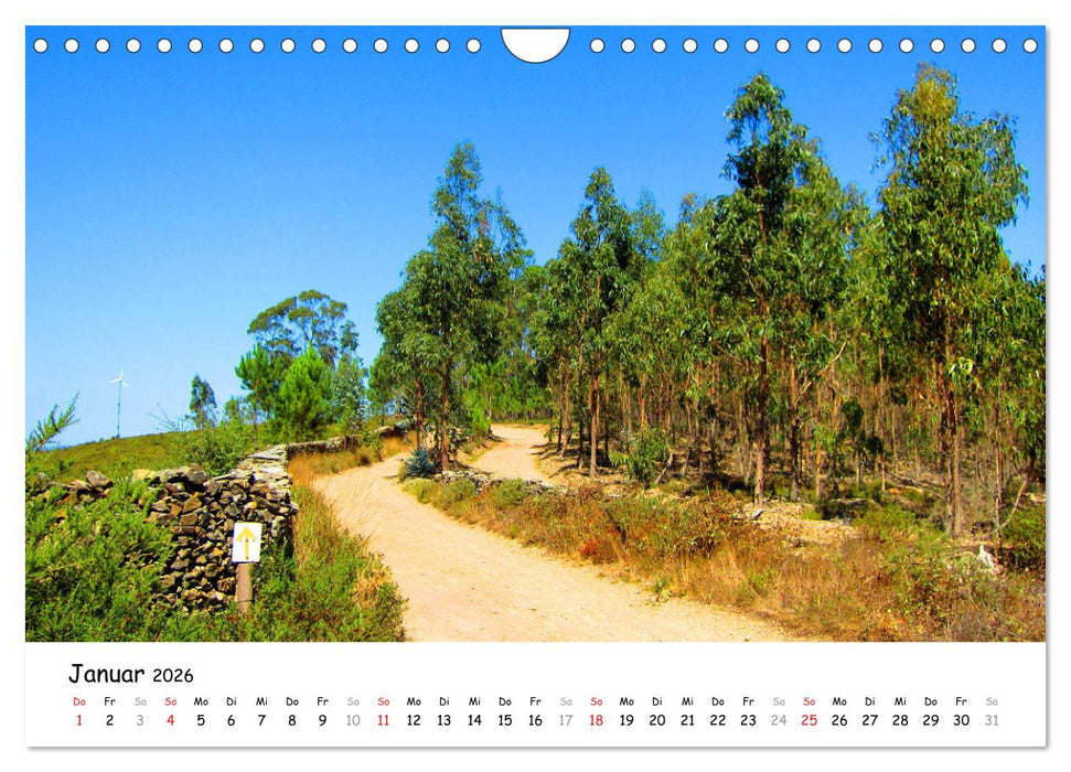Jakobsweg - Camino Portugues Central (CALVENDO Wandkalender 2026)