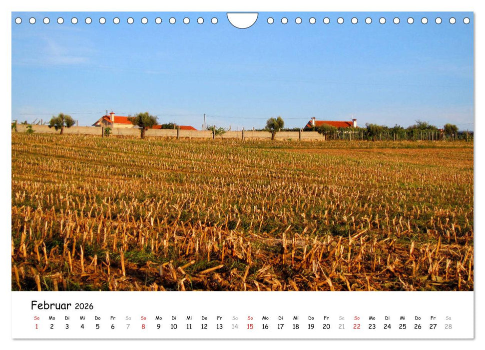 Jakobsweg - Camino Portugues Central (CALVENDO Wandkalender 2026)