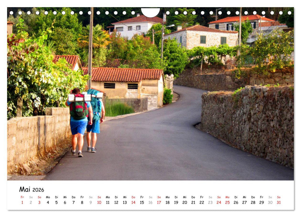 Jakobsweg - Camino Portugues Central (CALVENDO Wandkalender 2026)