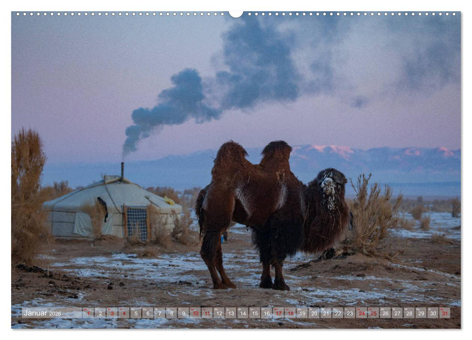 Mongolei - imposantes Land (CALVENDO Wandkalender 2026)