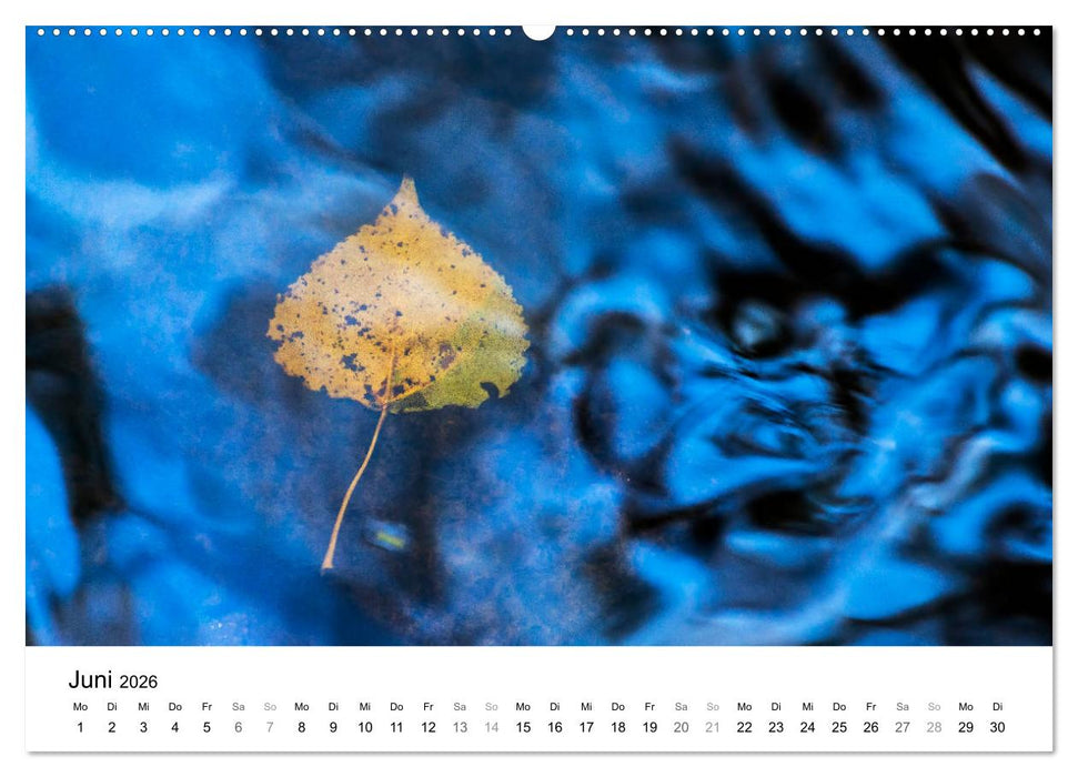 Wasser-Farben (CALVENDO Wandkalender 2026)