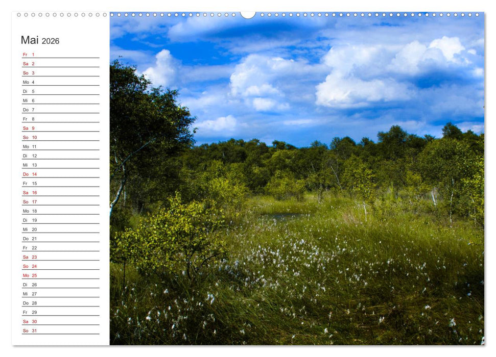 Worpswede - Naturschönheiten im Teufelsmoor (CALVENDO Wandkalender 2026)