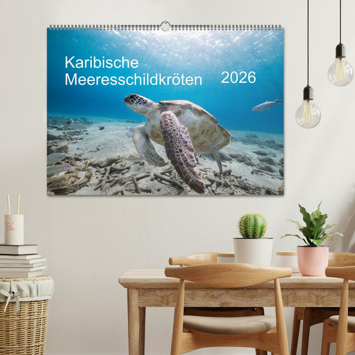 Karibische Meeresschildkröten (CALVENDO Wandkalender 2026)
