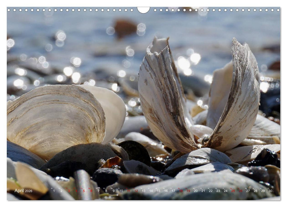 Kappeln und Angeln - Zwischen Ostsee und Schlei (CALVENDO Wandkalender 2026)