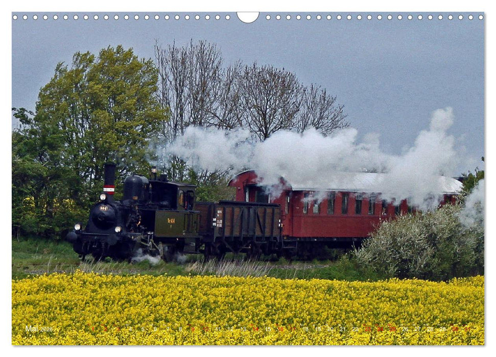 Kappeln und Angeln - Zwischen Ostsee und Schlei (CALVENDO Wandkalender 2026)