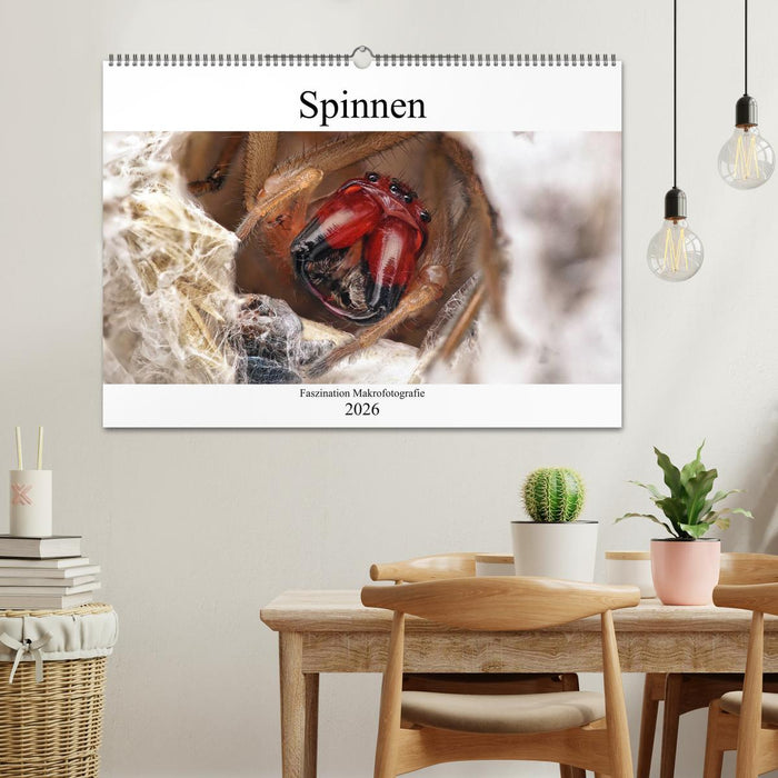 Faszination Makrofotografie: Spinnen (CALVENDO Wandkalender 2026)