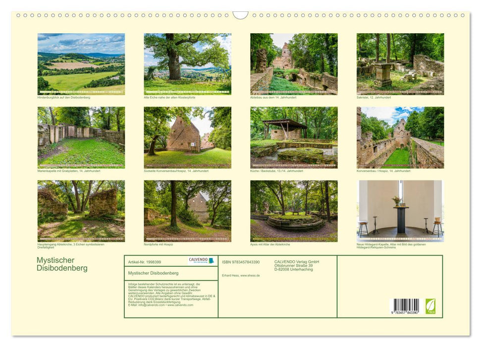 Mystischer Disibodenberg (CALVENDO Wandkalender 2026)