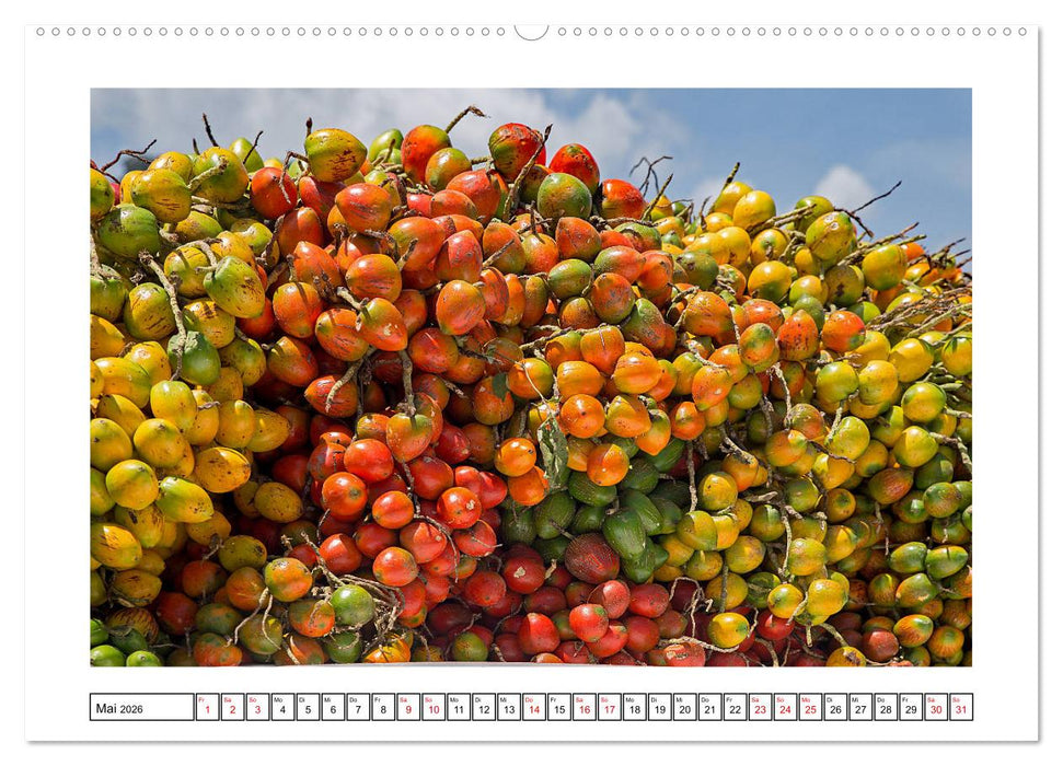 Panama - Streifzüge durch atemberaubende Küsten-, Berg- und Stadtlandschaften (CALVENDO Wandkalender 2026)