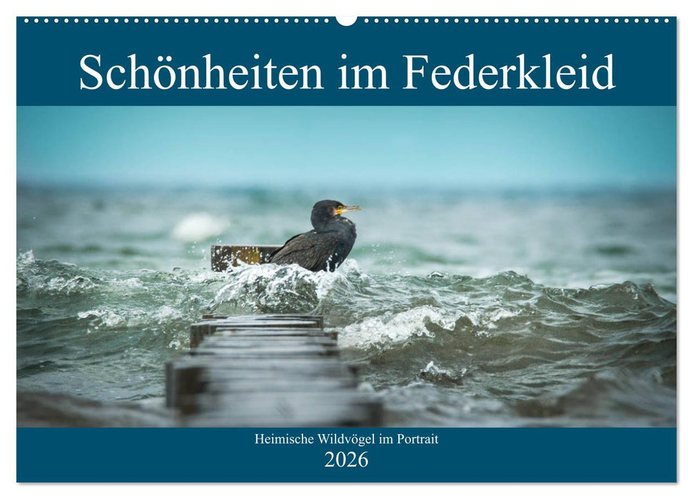Schönheiten im Federkleid - Heimische Wildvögel im Portrait (CALVENDO Wandkalender 2026)