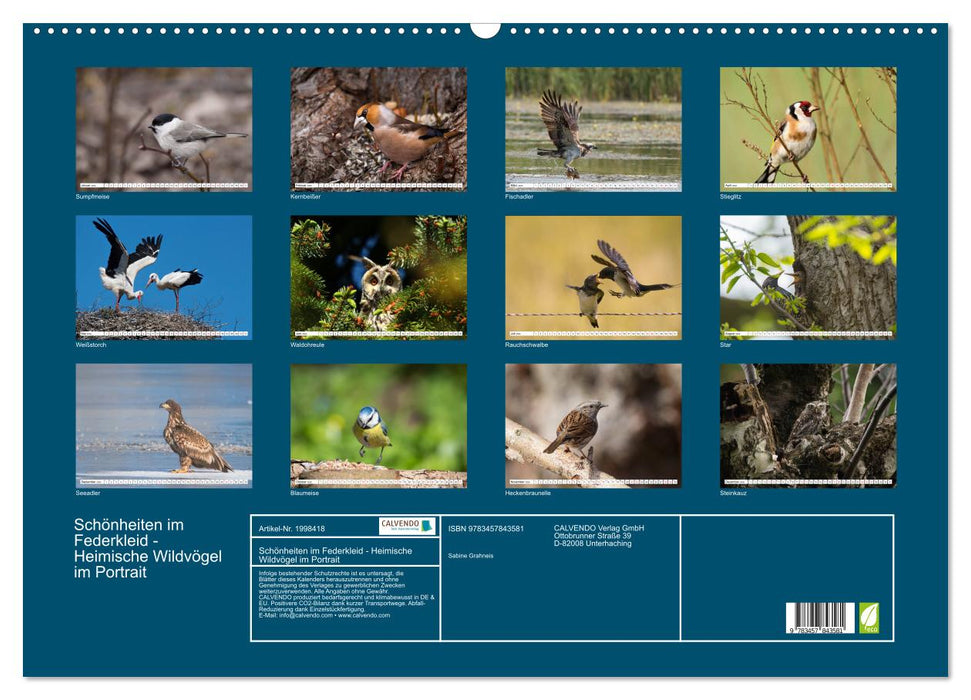 Schönheiten im Federkleid - Heimische Wildvögel im Portrait (CALVENDO Wandkalender 2026)