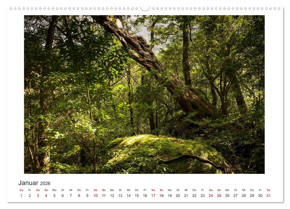 Yakushima - Japans Weltnaturerbe (CALVENDO Wandkalender 2026)