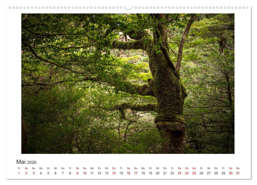 Yakushima - Japans Weltnaturerbe (CALVENDO Wandkalender 2026)