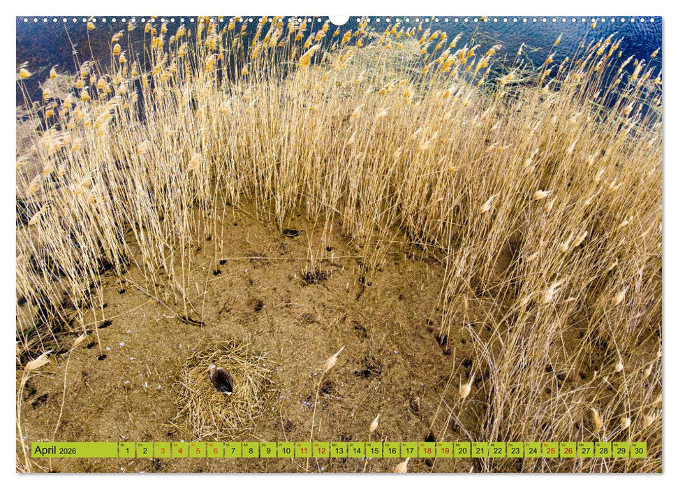 Schorfheide von oben (CALVENDO Wandkalender 2026)