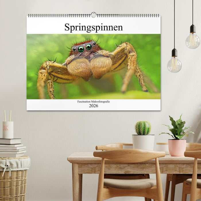 Faszination Makrofotografie: Springspinnen (CALVENDO Wandkalender 2026)