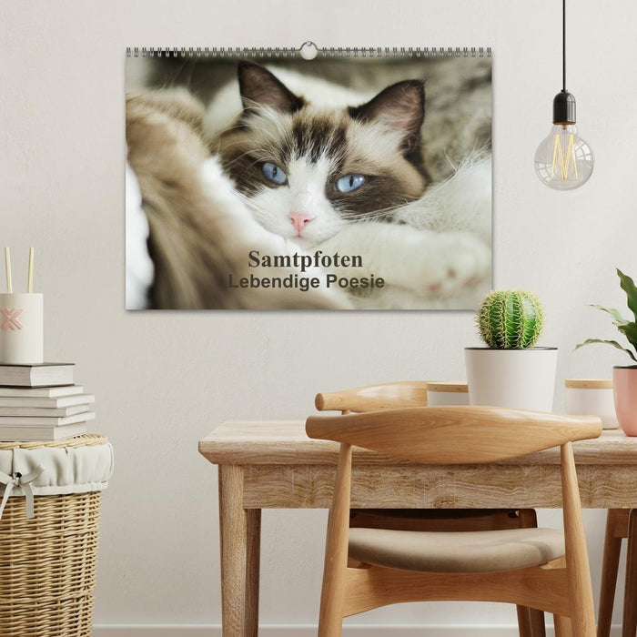 Samtpfoten Lebendige Poesie (CALVENDO Wandkalender 2026)
