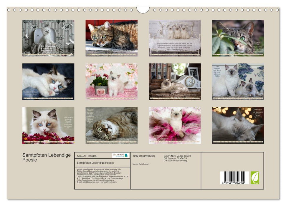 Samtpfoten Lebendige Poesie (CALVENDO Wandkalender 2026)
