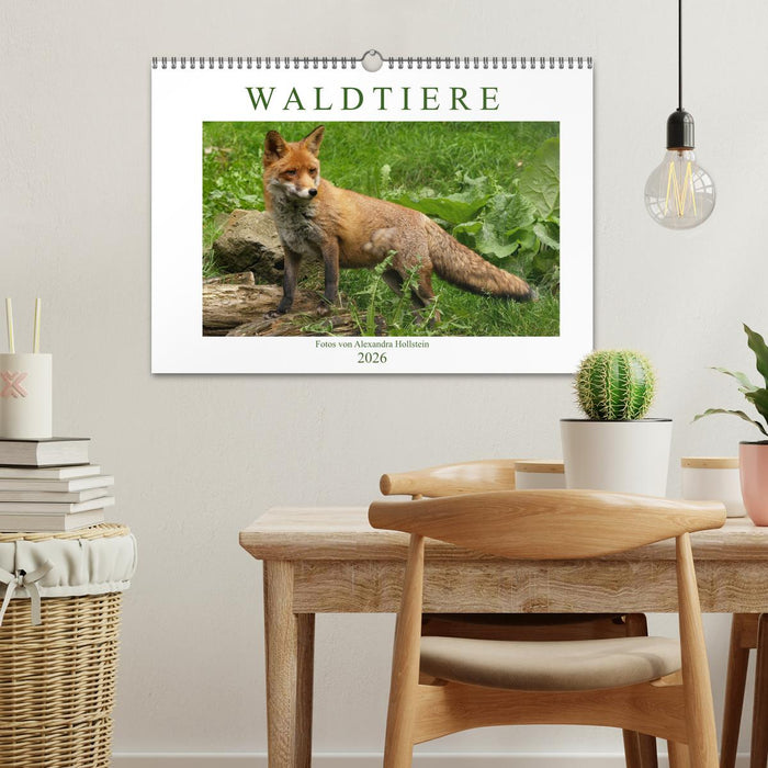 Waldtiere (CALVENDO Wandkalender 2026)